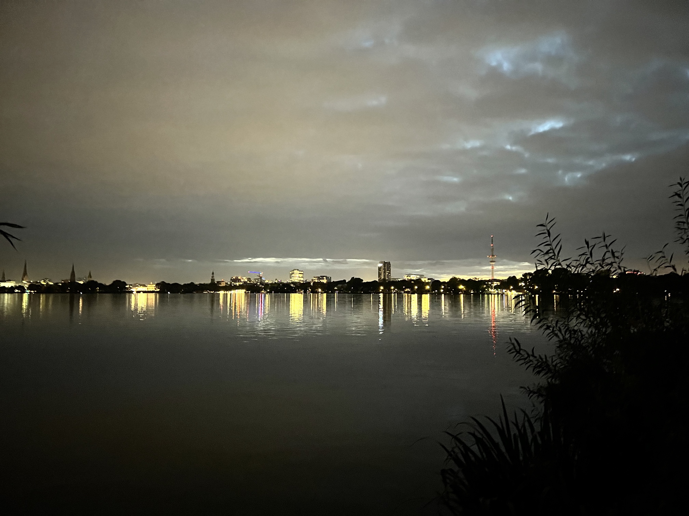 Alster reeds and TV tower at night