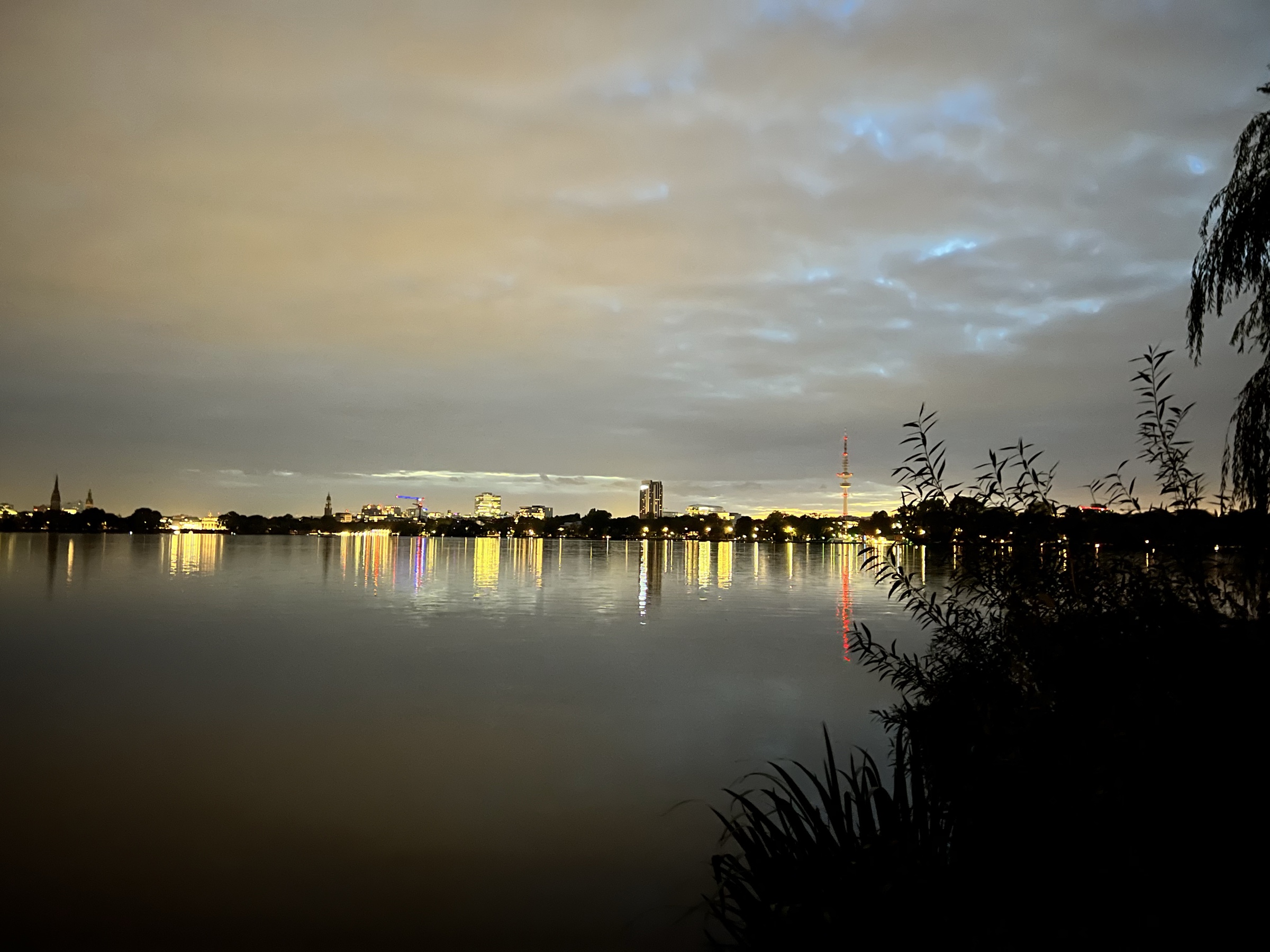 Weeping willow silhouette at dusk