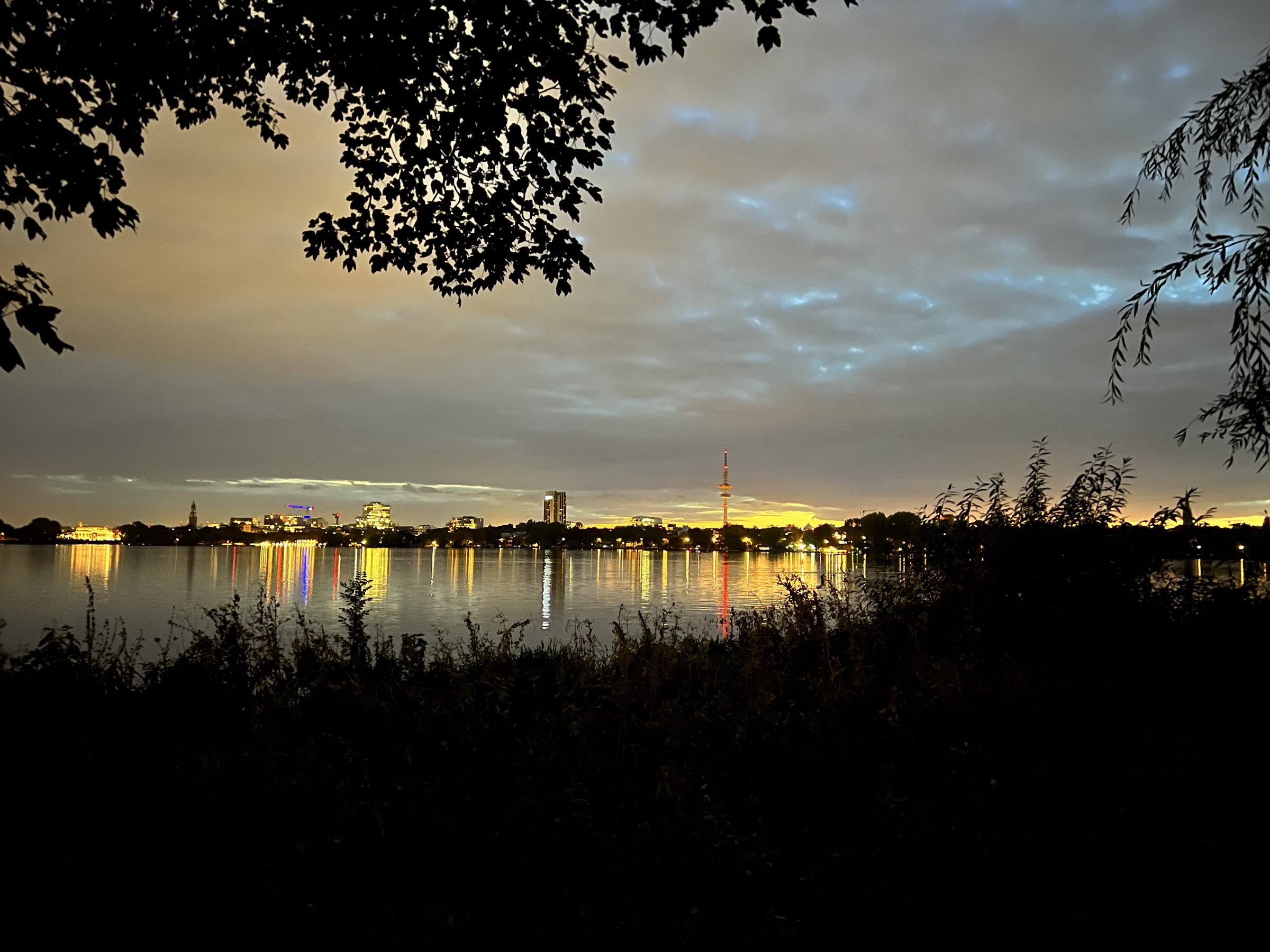 Alster skyline framed by foliage at night