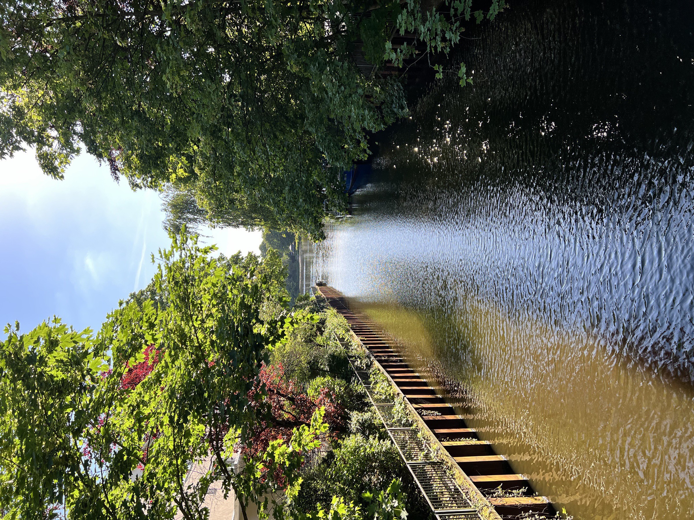 Hamburg canal in midsummer