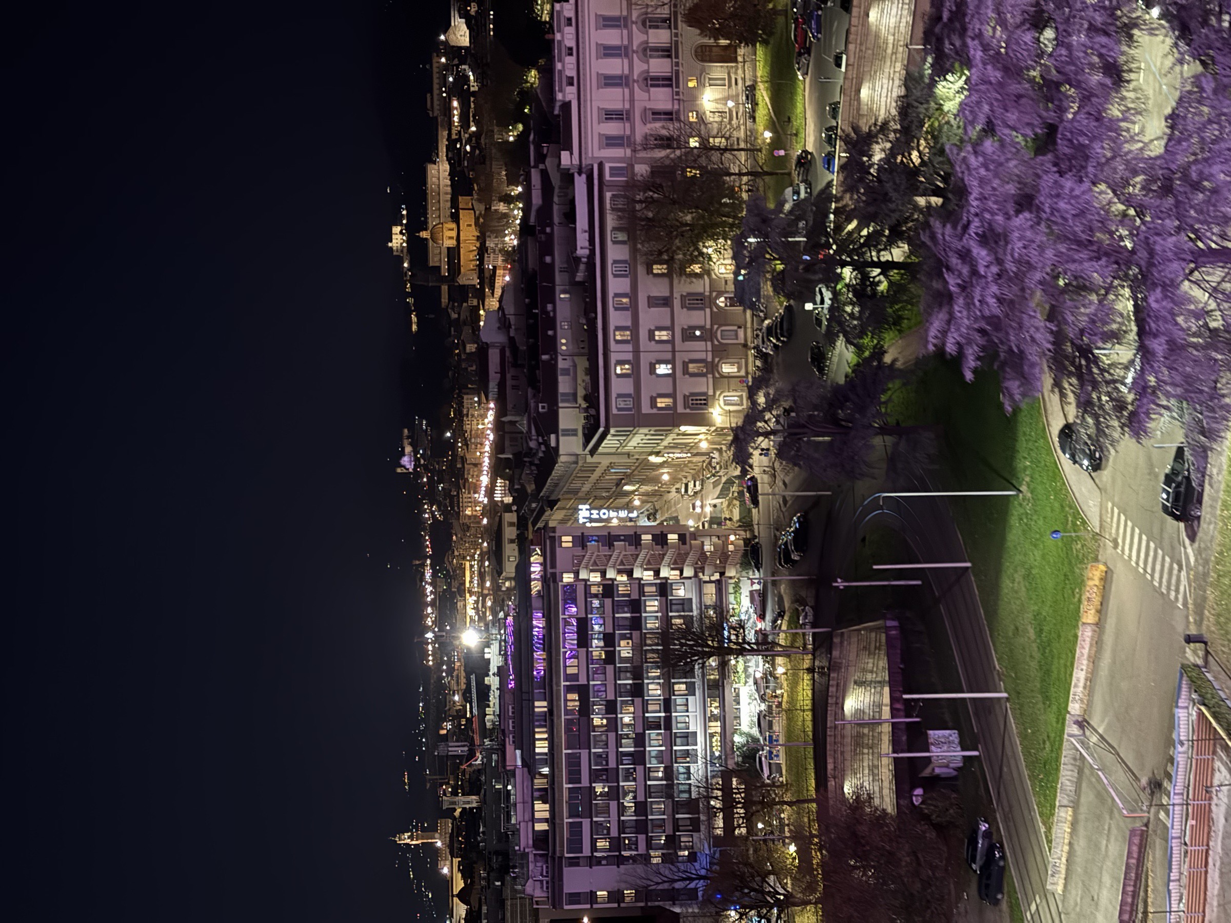 Florence seen from Piazzale Michelangelo at night